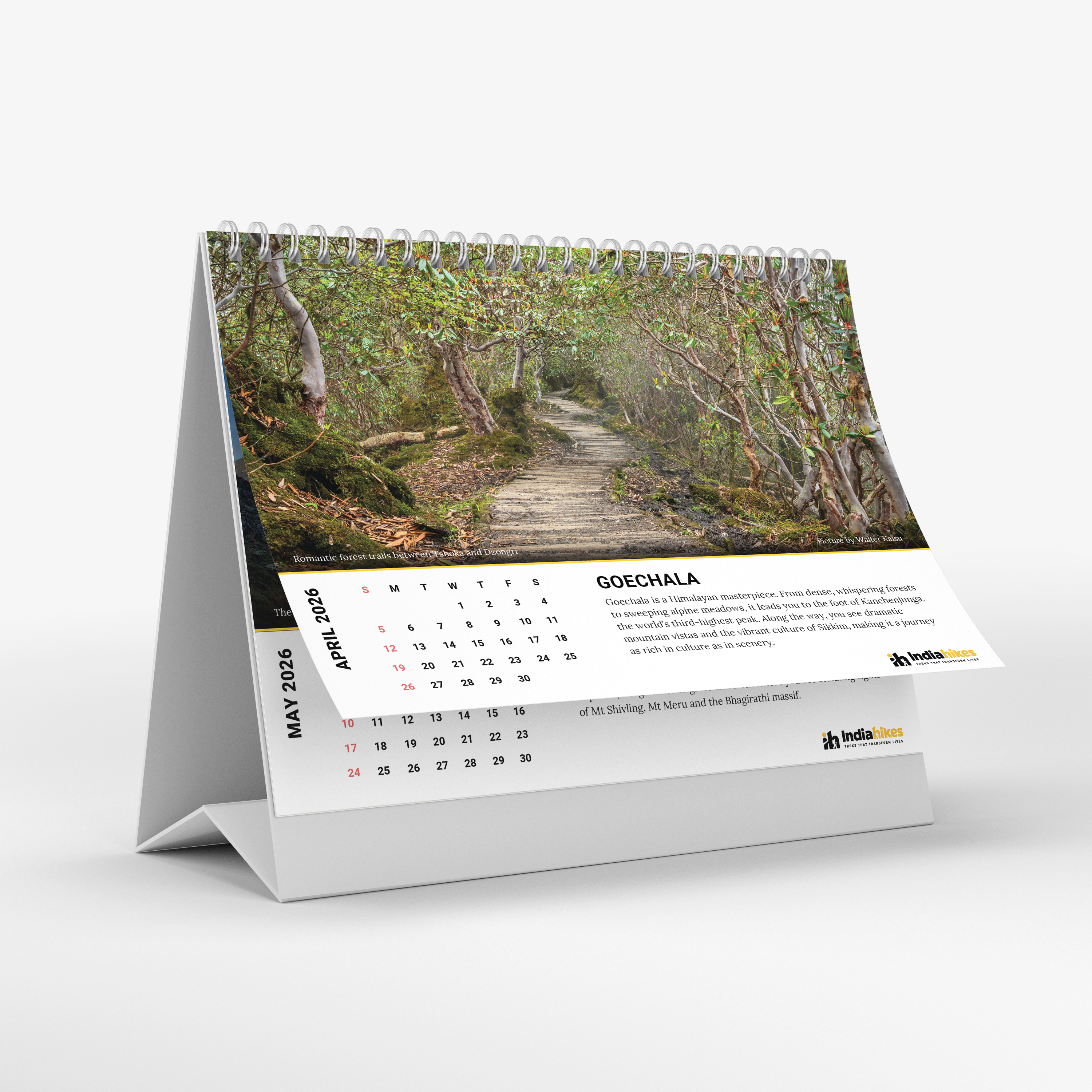 Mountain Lovers Gold Calendar 2026 – Pre-Order