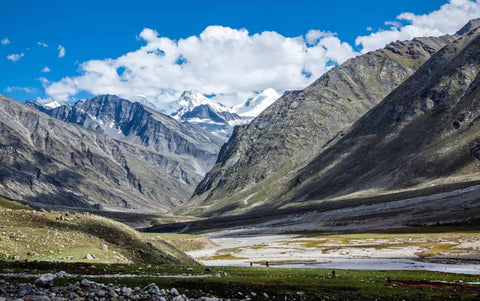 Miyar Valley Collection