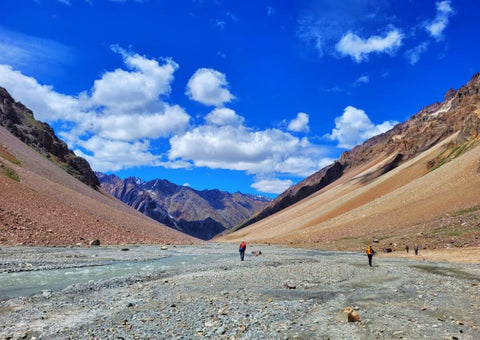 Pin Bhaba Pass Collection