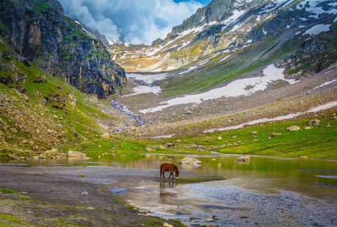 Hampta Pass Collection