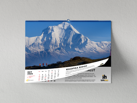 Mountain Lovers Gold Wall Calendar 2025