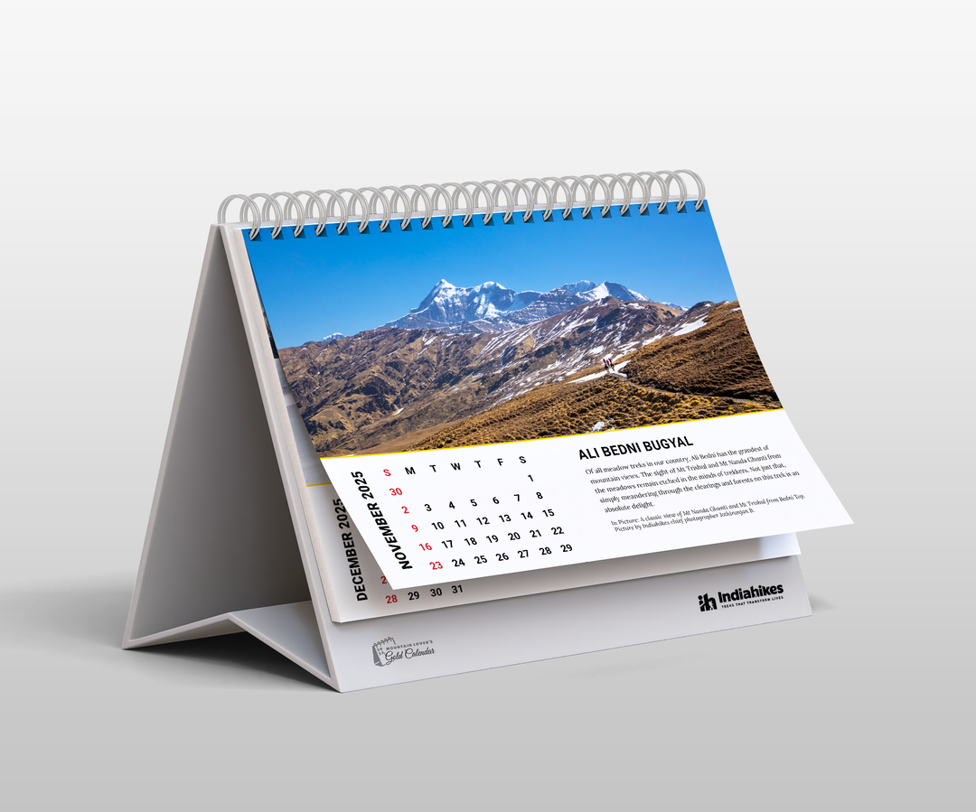 Mountain Lovers Gold Desk Calendar 2025