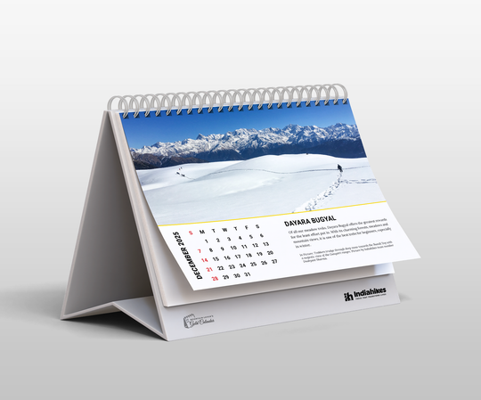 Mountain Lovers Gold Desk Calendar 2025