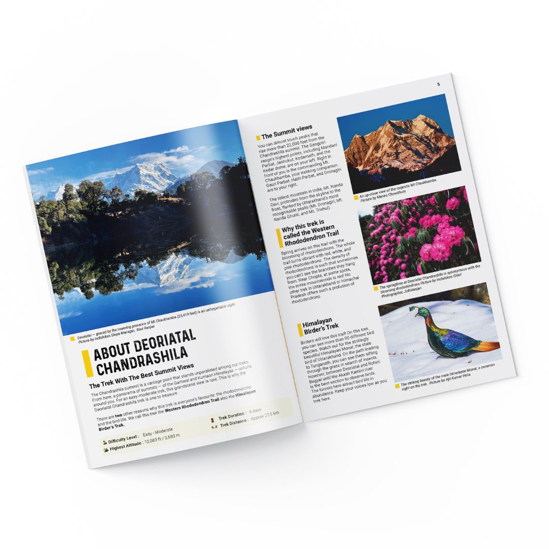 Deoriatal Chandrashila Trek - Guidebook