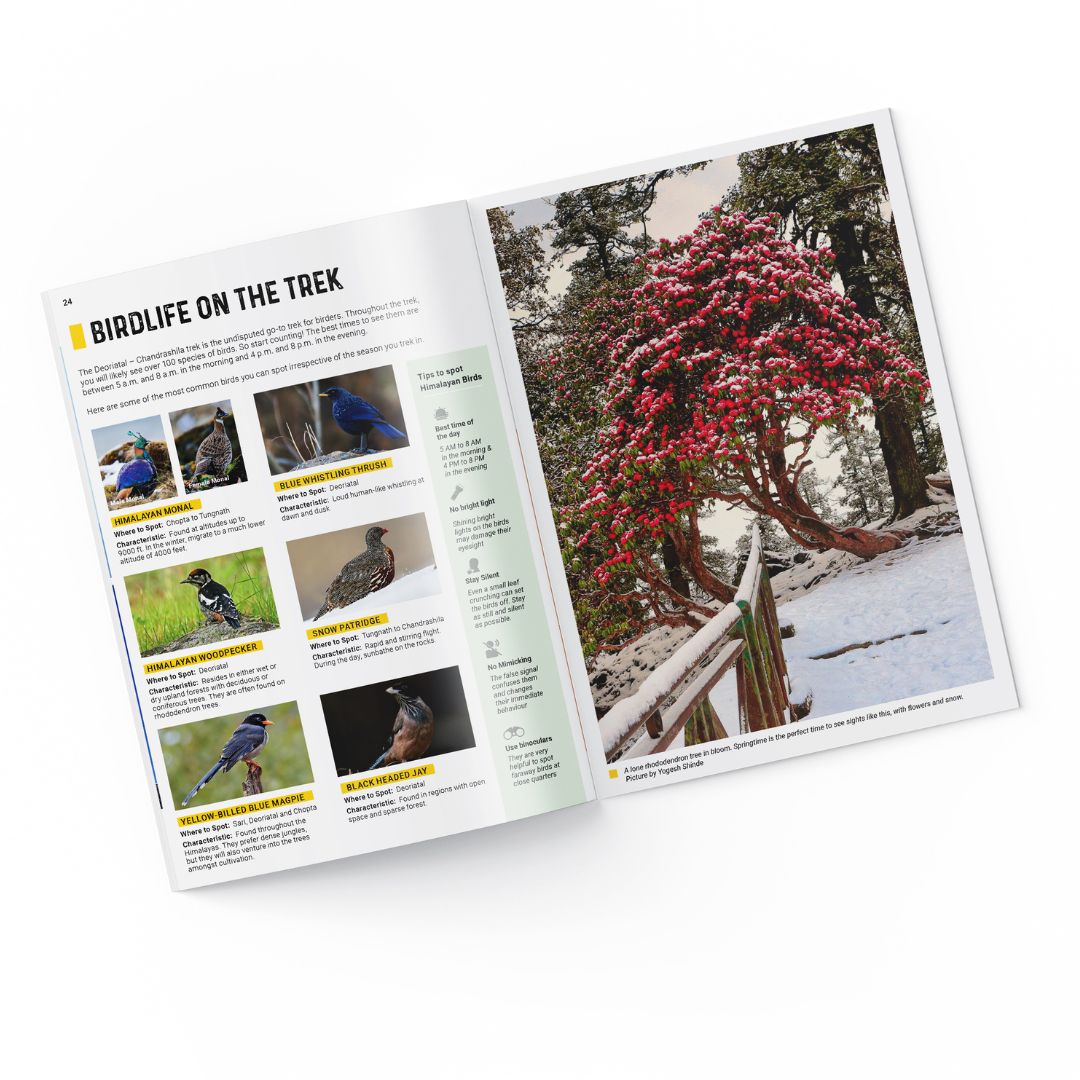 Deoriatal Chandrashila Trek - Guidebook