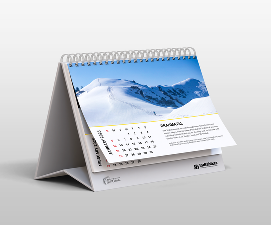 Mountain Lovers Gold Desk Calendar 2025