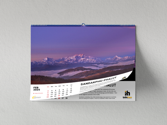 Mountain Lovers Gold Wall Calendar 2025