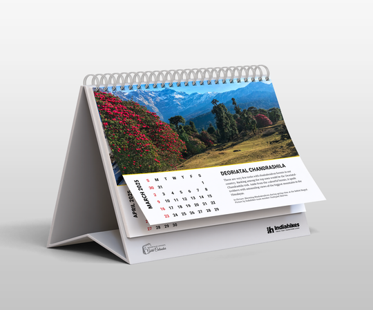 Mountain Lovers Gold Desk Calendar 2025