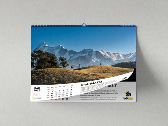 Mountain Lovers Gold Wall Calendar 2025