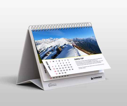 Mountain Lovers Gold Desk Calendar 2025