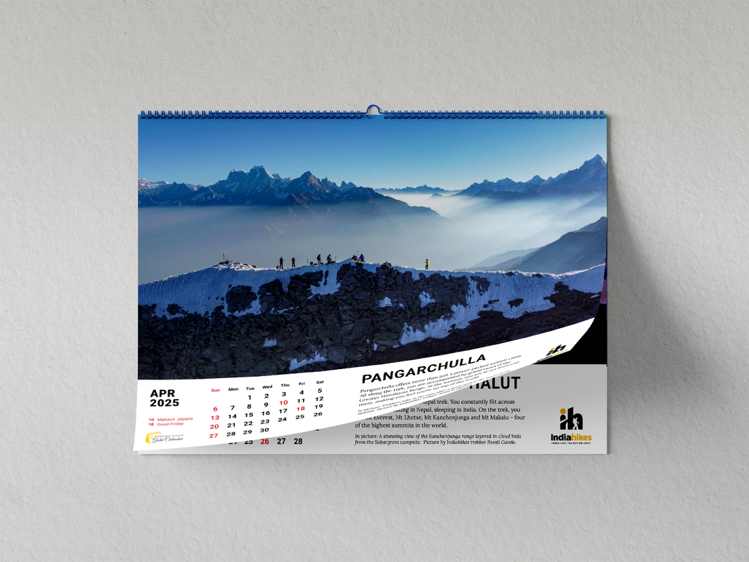 Mountain Lovers Gold Wall Calendar 2025