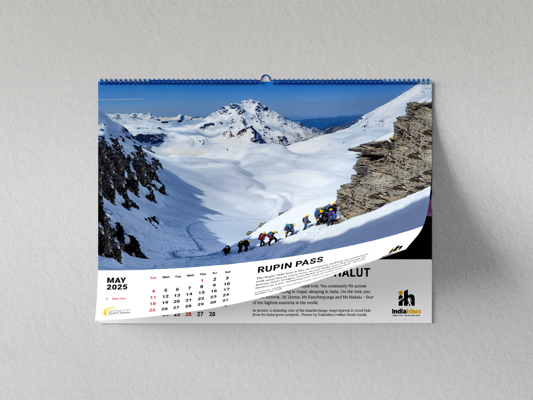 Mountain Lovers Gold Wall Calendar 2025