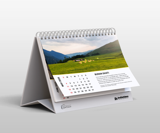 Mountain Lovers Gold Desk Calendar 2025