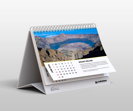 Mountain Lovers Gold Desk Calendar 2025