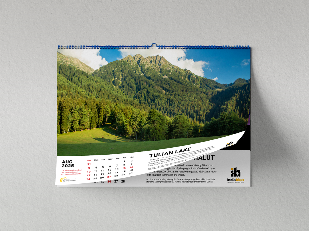 Mountain Lovers Gold Wall Calendar 2025