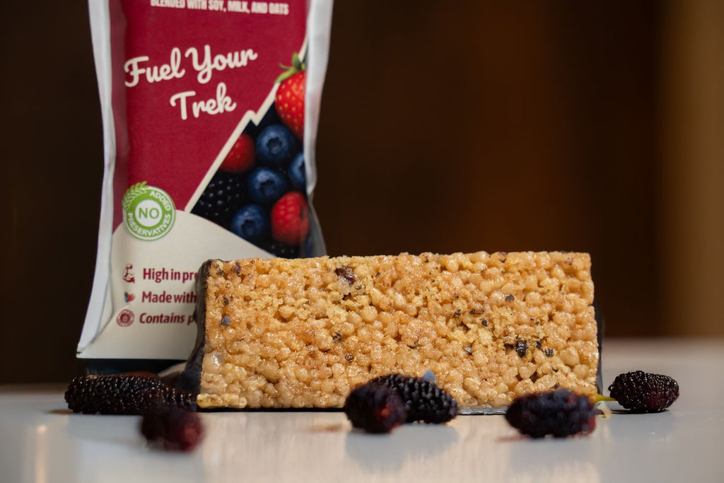 Berrileous Energy Bar